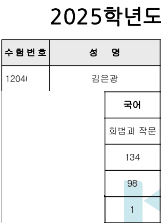2025학년도 수능 국어 백분위 98 성적표